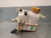 Ausgleichbehälter - - 96629078 Daewoo / Chevrolet Captiva (C100) SUV 2.0 CDTI 16V 150 4x4 (Z20S)