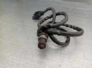 Schlauch 1736233030 Toyota Yaris II (P9) Schrägheck 1.4 D-4D (1NDTV)