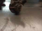 Klima Pumpe 8385919 BMW 5 serie (E39) Limousine 528i 24V (M52-B28(286S1))