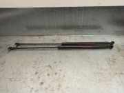 Gasdruckfedern Set Hinten 9602754380 Citroën ZX Break Kombi 1.9D Reflex (XUD9A-L(D9B))