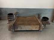 Ladeluftkühler 144613S901 Nissan King Cab/Pickup 4x4 (D22) Pick-up 2.5 Tdi (TD25i)