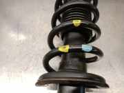 Stoßdämpfer Links Hinten 20365AL030 Subaru Legacy Wagon (BR) Kombi 2.0 D 16V (EE20)