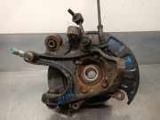 Achsschenkel Halter Rechts Hinten 527202B000 Hyundai Santa Fe II (CM) SUV 2.2 CRDi 16V 4x2 (D4EB)