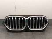 Grill 51745A29C27 BMW X6 (G06) SUV xDrive 40d Mild Hybrid 3.0 24V (B57-D30B)