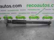 Stoßdämpfer Links Hinten 55700452 Fiat Grande Punto (199) Schrägheck 1.4 LPG (350.A.1000)