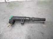 Zündspule 8200765882 Renault Megane II (BM/CM) Schrägheck 1.6 16V (K4M-760(K4M-T7))