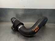 Schlauch 144635X02B Nissan Navara (D40) Pick-up 2.5 dCi 16V (YD25DDTi)