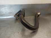 Schlauch 144600003R Renault Megane III Berline (BZ) 5-deurs 1.2 16V TCE (H5F-A4)