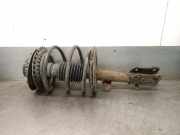 Antriebswelle Rechts Vorne 391006777R Renault Scénic III (JZ) Großraumlimousine 1.5 dCi 110 (K9K-J836)