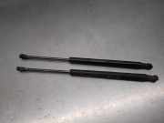 Gasdruckfedern Set Hinten 00518416340 Fiat Panda/Pandina (312) Schrägheck 1.2 69 (169.A.4000)