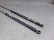 Gasdruckfedern Set Hinten 146A000 Seat Ibiza I (021A) Schrägheck 0.9 900 Junior,Playa (146.A.000)