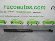 Gasdruckfedern Set Hinten 3M51R406A10AB Ford C-MAX (DM2) 2.0 TDCi