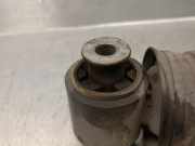 Stoßdämpfer Links Hinten 562101930R Renault IV Schrägheck (B9A/M/N_) 1.3 TCe 140 (B9NB)