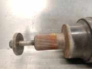 Zierleiste 578947417 Cupra Leon Sportstourer (KLCF) Kombi 1.5 VZ e-Hybrid 16V (DUCA) DUCA