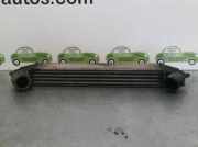 Ladeluftkühler 1749803 Fiat Doblo (223A/119) Großraumlimousine 1.3 JTD 16V Multijet (188.A.9000)