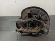 Achsschenkel Halter Rechts Hinten A2213502208 Mercedes-Benz S (W221) Limousine 5.5 S-550 32V (M273.961)