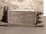 Ladeluftk?hler 9S519L440AA Ford Ka II Schr?gheck 1.3 TDCi 16V (169.A.1000)