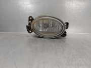 Nebelscheinwerfer Rechts Vorne A1698201656 Mercedes-Benz GL (X164) SUV 4.7 GL 450 V8 32V (M273.923)