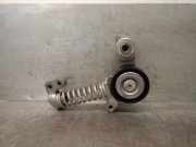 Spannrolle Riemen Oder Kette 31339945 Volvo V40 (MV) Schr?gheck 5-drs 2.0 D2 16V (D4204T8(Euro 6b))