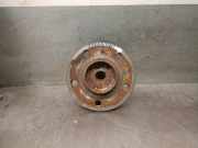 Achsschenkel Halter Rechts Hinten A1699810027 Mercedes-Benz CLASE B Sports Tourer (W245) B 180 CDI (245.207)