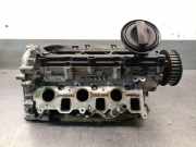 Zylinderkopf 0593AL Audi Q7 (4LB) SUV 3.0 TDI V6 24V (BUG)