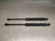 Gasdruckfeder Set Vorne 51232990344 BMW X1 (E84) SUV sDrive 18d 2.0 16V (N47-D20C)