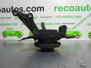 Achsschenkel Halter Rechts Vorne 51754192 Fiat BRAVO (182) TD 100 SX