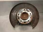 Achsschenkel Halter Rechts Hinten 1604316 Opel ZAFIRA B Furgoneta/monovolumen (A05) 1.7 CDTI VAN (M75)