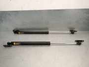 Gasdruckfedern Set Hinten 6895049185 Lexus RX (_U3_) 400h AWD (MHU38_)