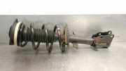 Stoßdämpfer Links Vorne 543029762R Renault Kangoo Express (FW) Van 1.5 dCi 75 (K9K-808(K9K-E8))