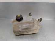 AusgleichbehÃ¤lter - 217100005R Renault Megane III Coupe (DZ) SchrÃ¤gheck 3-drs 1.2 16V TCE 130 Start & Stop (H5F-404(H5F-B4))