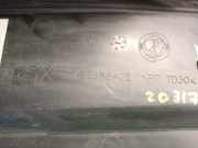 Zierleiste ACHTER 735388402SX Fiat Doblo Cargo (223) Van 1.3 D 16V Multijet (199.A.2000)