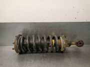 StoÃŸdÃ¤mpfer Rechts Vorne 561005X01A Nissan III (R51) 2.5 dCi 4WD