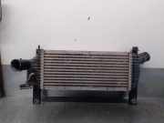 Ladeluftkühler 14461EB70A Nissan Navara (D40) Pick-up 2.5 dCi 16V 4x4 (YD25DDTi)