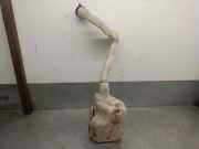 Scheibenwaschbehälter 964833758003 Citroën CITROËN C-ELYSÉE 1.6 HDi FAP