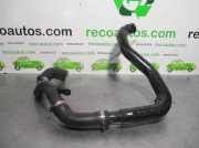 Schlauch 1205100813 Citroën C-Crosser SUV 2.2 HDiF 16V (DW12METED4(4HK))