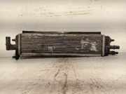 Radiator 9671927980 Citroën CITROËN DS5 2.0 HDi FAP