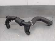 Schlauch L1B16C646BA Ford Fiesta 7 Schrägheck 1.0 EcoBoost 12V Hybrid 125 (B7JB)