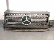Grill A4638880400 Mercedes-Benz G (463) SUV G 500 4.0 Biturbo V8 32V (M176.980)