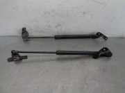 Gasdruckfedern Set Hinten 51247060622 BMW 1 serie (E87/87N) Schrägheck 5-drs 116d 16V (N47-D20A)