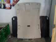 Verkleidung Himmel 735489294 Fiat Linea (323AX) Limousine 1.3 D Multijet 16V VGT (199.A.3000)