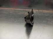 Türgriff Innen Rechts Vorne 8125514 BMW 7 serie (E38) Limousine 725 tds (M51-D25)