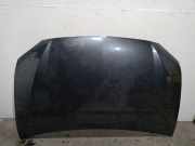 Motorhaube D27DT SsangYong Rodius Großraumlimousine 2.7 270 Xdi 20V 4x2 (M665.925(Euro 4))