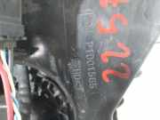 Tank P1001565 Citroën C4 Picasso (3D/3E) Großraumlimousine 1.6 BlueHDI 120 (DV6FC(BHZ))