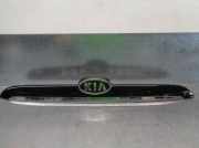 Handgriff Kofferraum 925012F010 Kia CERATO 2.0 Turbodiesel CAT