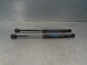 Gasdruckfedern Set Hinten 9656592980 Peugeot 407 (6D) Limousine 2.0 HDiF 16V (DW10BTED4(RHR))