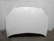 Motorhaube 7901H9 Citroën C5 I Break (DE) Kombi 2.0 HDi 110 (DW10ATED(RHZ))