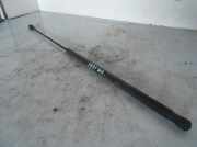 Gasdruckfeder Set Vorne Opel Vectra C Limousine 2.2 DTI 16V (Y22DTR)