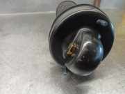 Sto?d?mpfer Rechts Hinten 89FB18K076AE Ford FIESTA BERL./COURIER 1.1 CAT