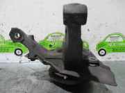 Achsschenkel Halter Rechts Vorne D0986 Lancia Ypsilon (840) Schrägheck 1.1 Elefantina Blu (176.B.2000)